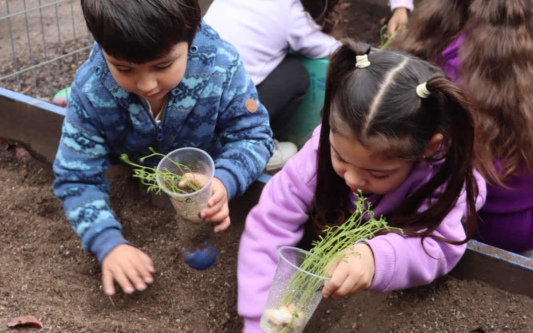 Sala Cuna y Jardín Infantil San Francisco Troncal