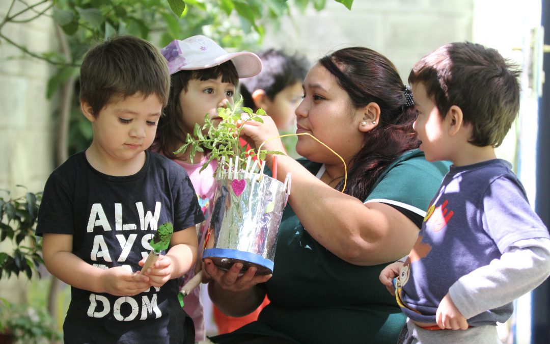 Sala Cuna y Jardín Infantil Sor Teresa