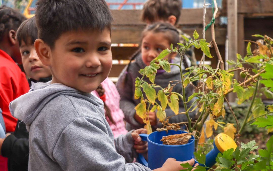 Sala Cuna y Jardín Infantil Rosa Valdés Ramírez